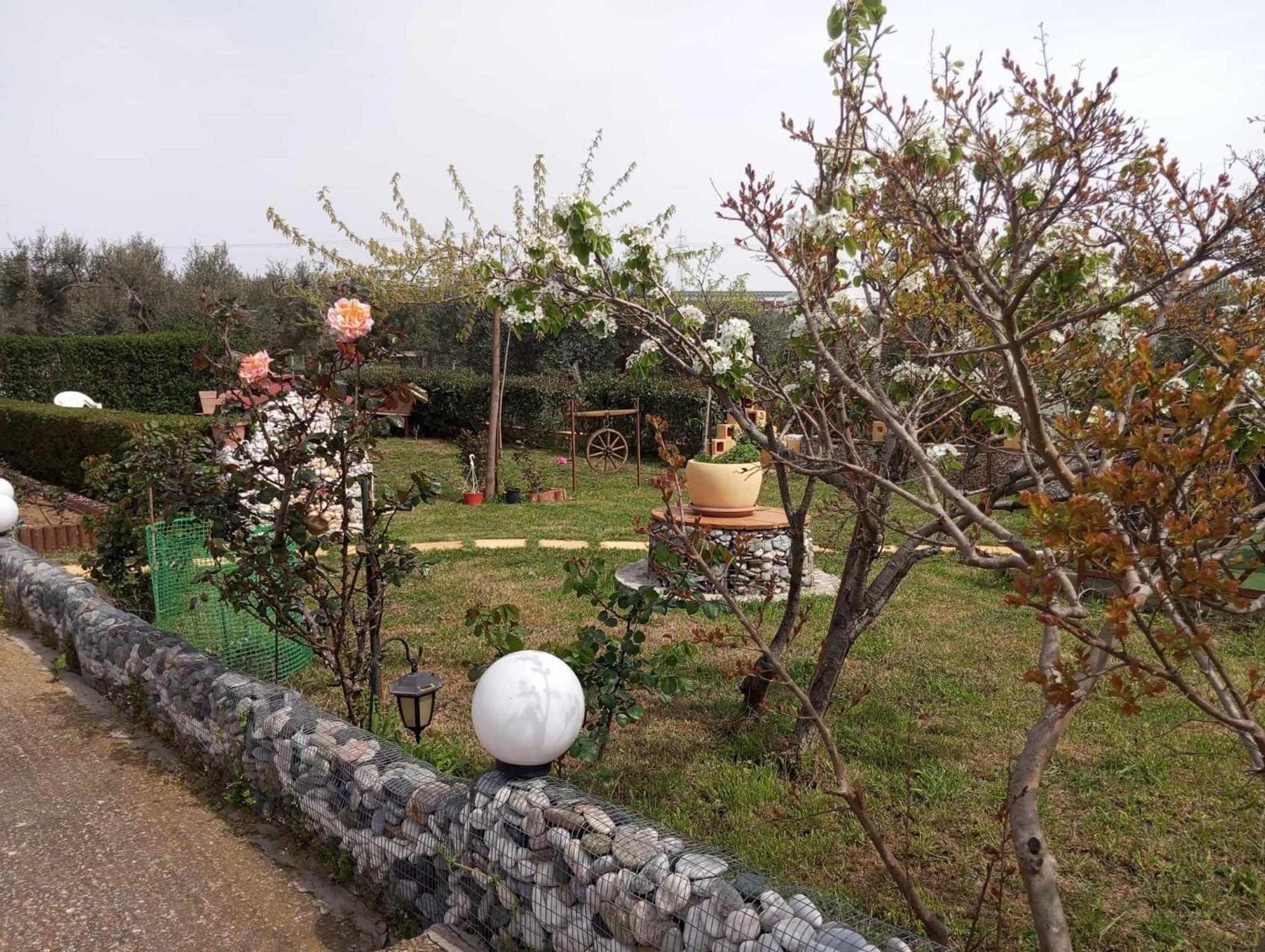 Dora'S Garden Villa Alexandroupolis Buitenkant foto