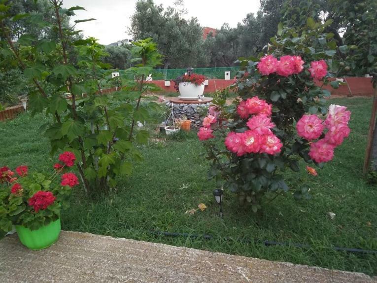 Dora'S Garden Villa Alexandroupolis Buitenkant foto